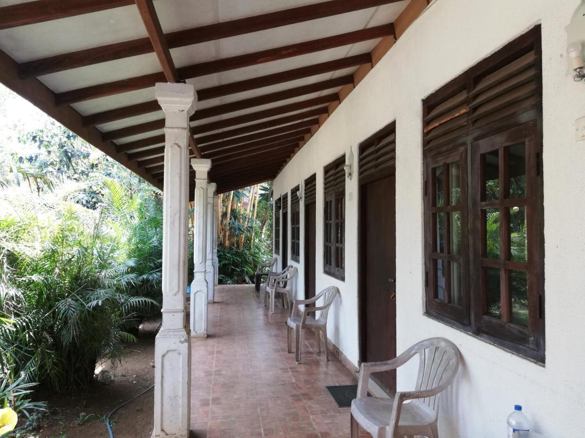 Leaf Guest House Gampola Exteriér fotografie