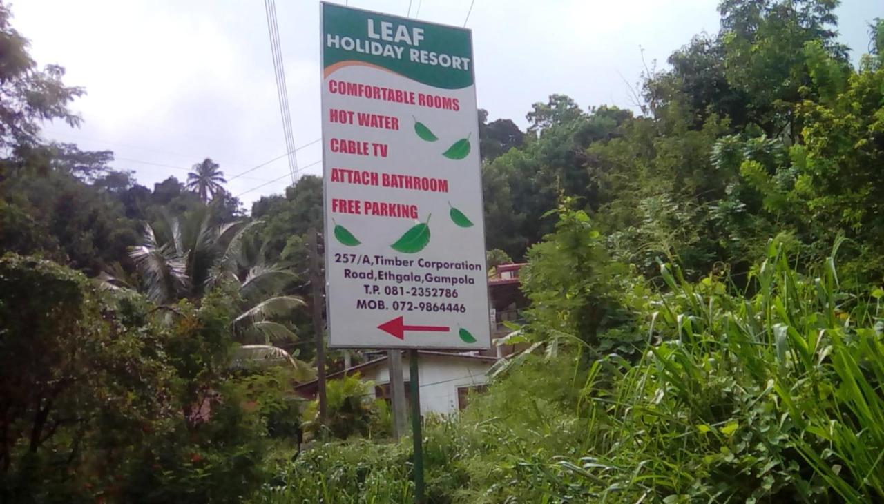 Leaf Guest House Gampola Exteriér fotografie