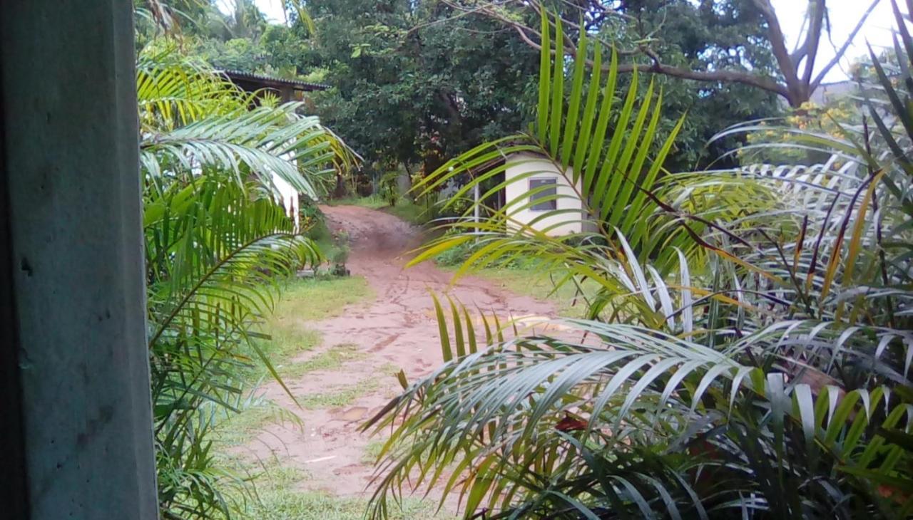 Leaf Guest House Gampola Exteriér fotografie