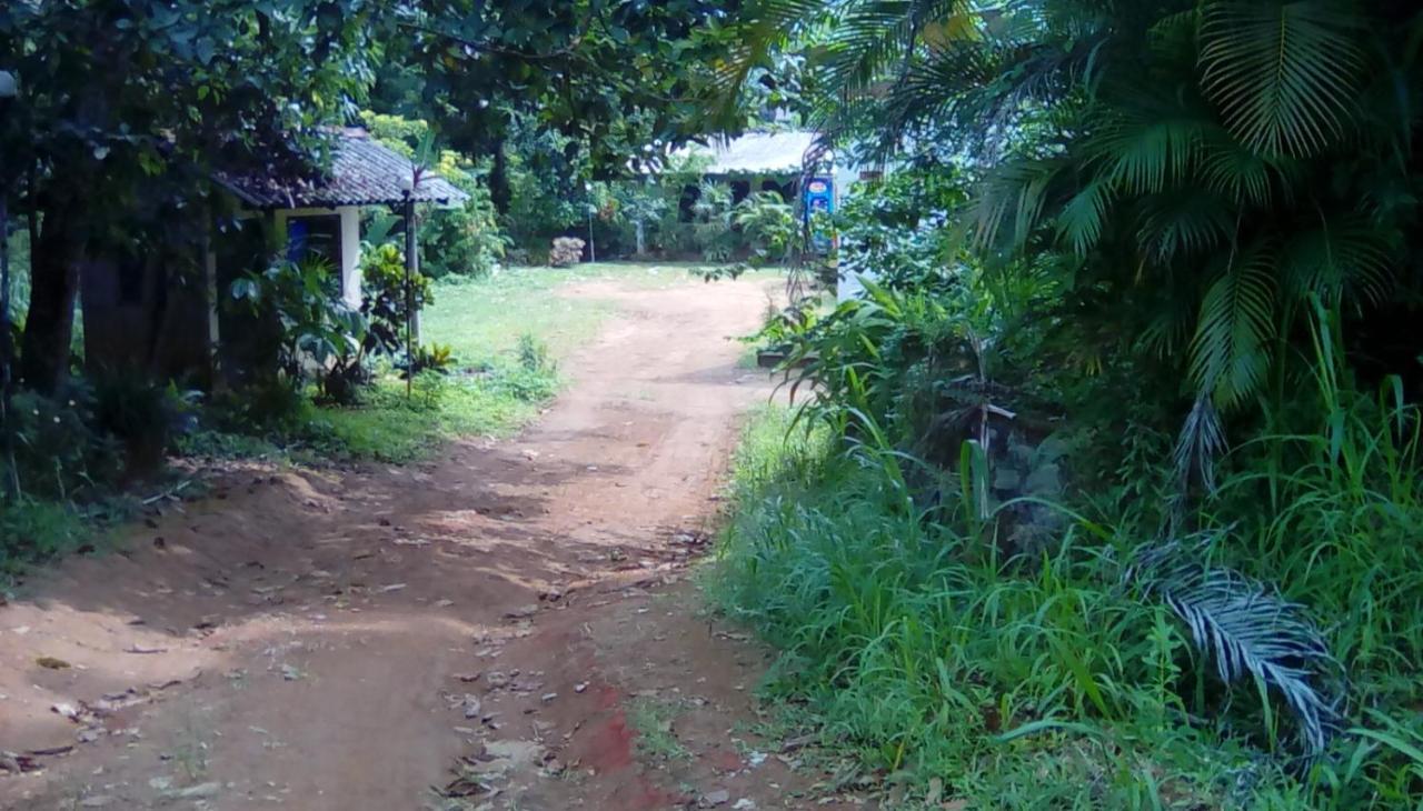 Leaf Guest House Gampola Exteriér fotografie